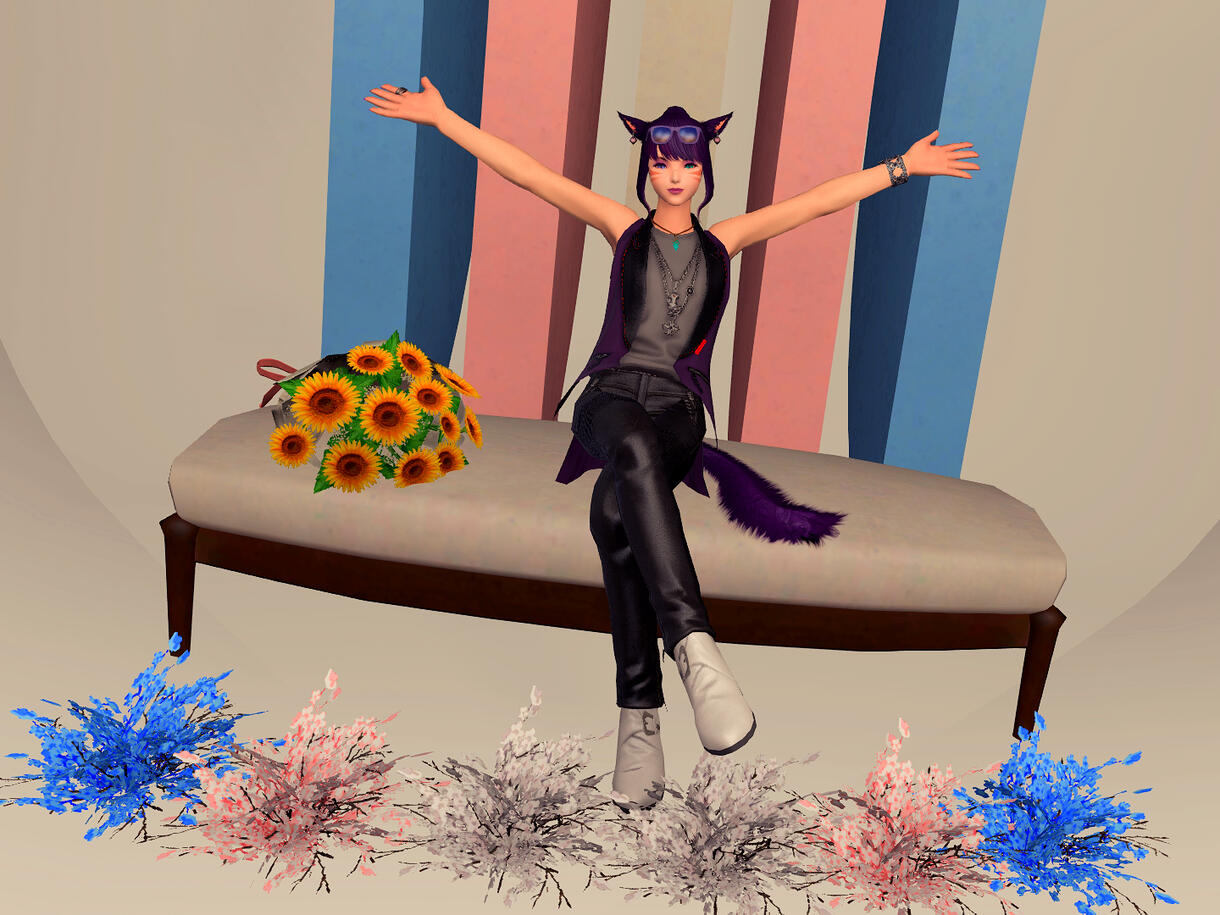 FC Room: Trans Flag