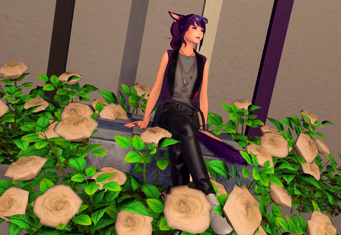 FC Room: Asexual Flag